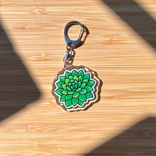 Echeveria Succulent Keychain