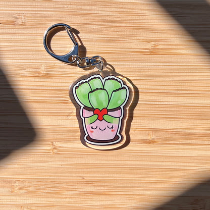 Bears Paw Succulent Keychain