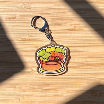 Lithops Succulent Keychain
