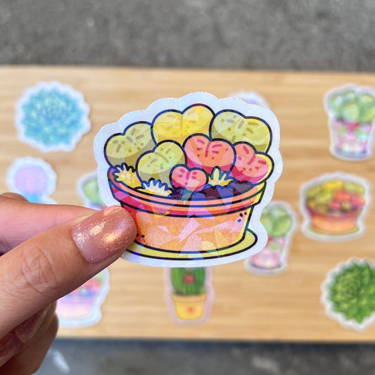 Lithops Succulent Vinyl Sticker